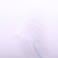 Obrázok ku produktu BRMBOLEC 14 biela veľkosť M