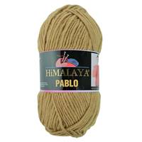 Obrázok ku produktu Pletacia vlna Himalaya PABLO 123-22