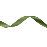 Obrázok ku produktu Atlasová stuha 15mm/18,80m zelená
