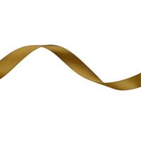 Obrázok ku produktu Atlasová stuha 15mm/19,40m zelená