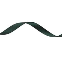 Obrázok ku produktu Atlasová stuha 15mm/19,60m zelená tmavá