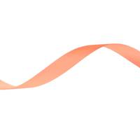 Obrázok ku produktu Atlasová stuha 15mm/19,30m oranžová