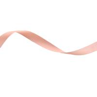 Obrázok ku produktu Atlasová stuha 15mm/19,80m ornažová svetlá