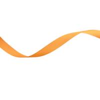 Obrázok ku produktu Atlasová stuha 15mm/19,50m oranžová