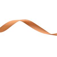 Obrázok ku produktu Atlasová stuha 15mm/16,80m hnedá svetlá