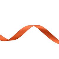 Obrázok ku produktu Atlasová stuha 15mm/15,60m oranžová