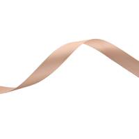 Obrázok ku produktu Atlasová stuha 15mm/16,70m béžová