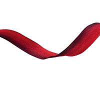Obrázok ku produktu Atlasová stuha 25mm/19,50 m červená čierna obmré