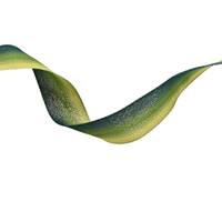 Obrázok ku produktu Atlasová stuha 25mm/22,25 m zelená žltá ombré