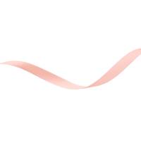 Obrázok ku produktu Atlasová stuha 10mm/9,45m oranžová svetlá