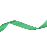 Obrázok ku produktu Atlasová stuha 24mm/8,60m zelená sýta