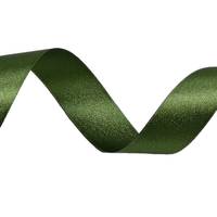 Obrázok ku produktu Atlasová stuha 24mm/19,70m zelená