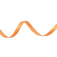 Obrázok ku produktu Atlasová stuha 10mm 19m oranžová neon