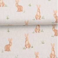 Obrázok ku produktu DEKORAČNÁ LÁTKA zajačik