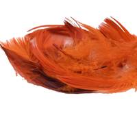 Obrázok ku produktu Dekoračné pierka oranžová