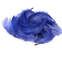 Obrázok ku produktu Dekoračné pierka modrá