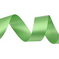 Obrázok ku produktu Atlasová stuha 40mm/19,30m zelená