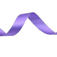 Obrázok ku produktu Atlasová stuha 24mm/17,60m fialová strieborná