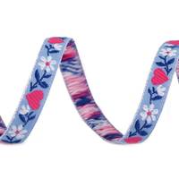 Obrázok ku produktu KROJOVÁ stuha 9mm modrá svetlá červená